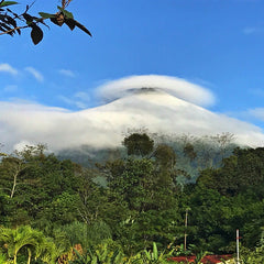 The Ultimate Sleep Retreat