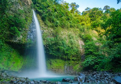 The Ultimate Sleep Retreat