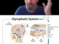 Bundle of 5 - Maximum Glymphatic Coverage